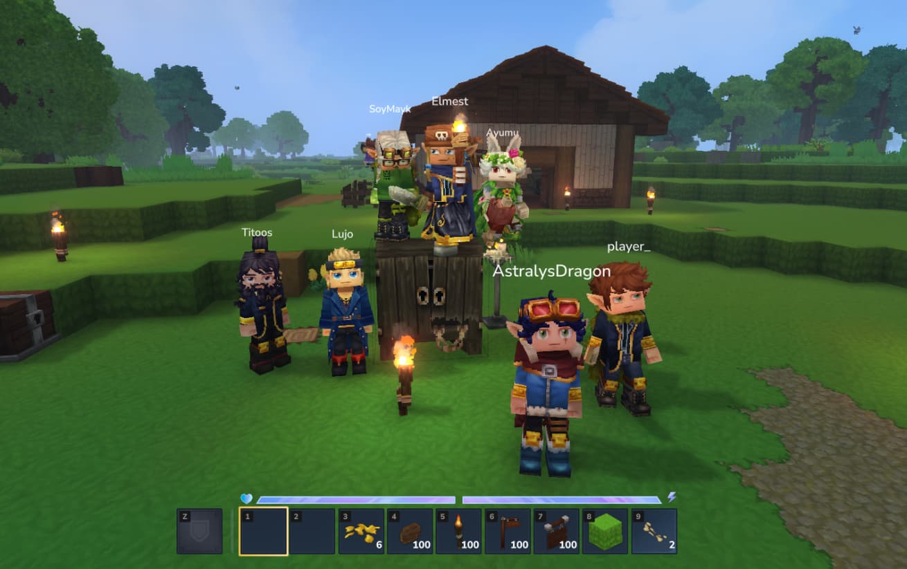 Server screenshot